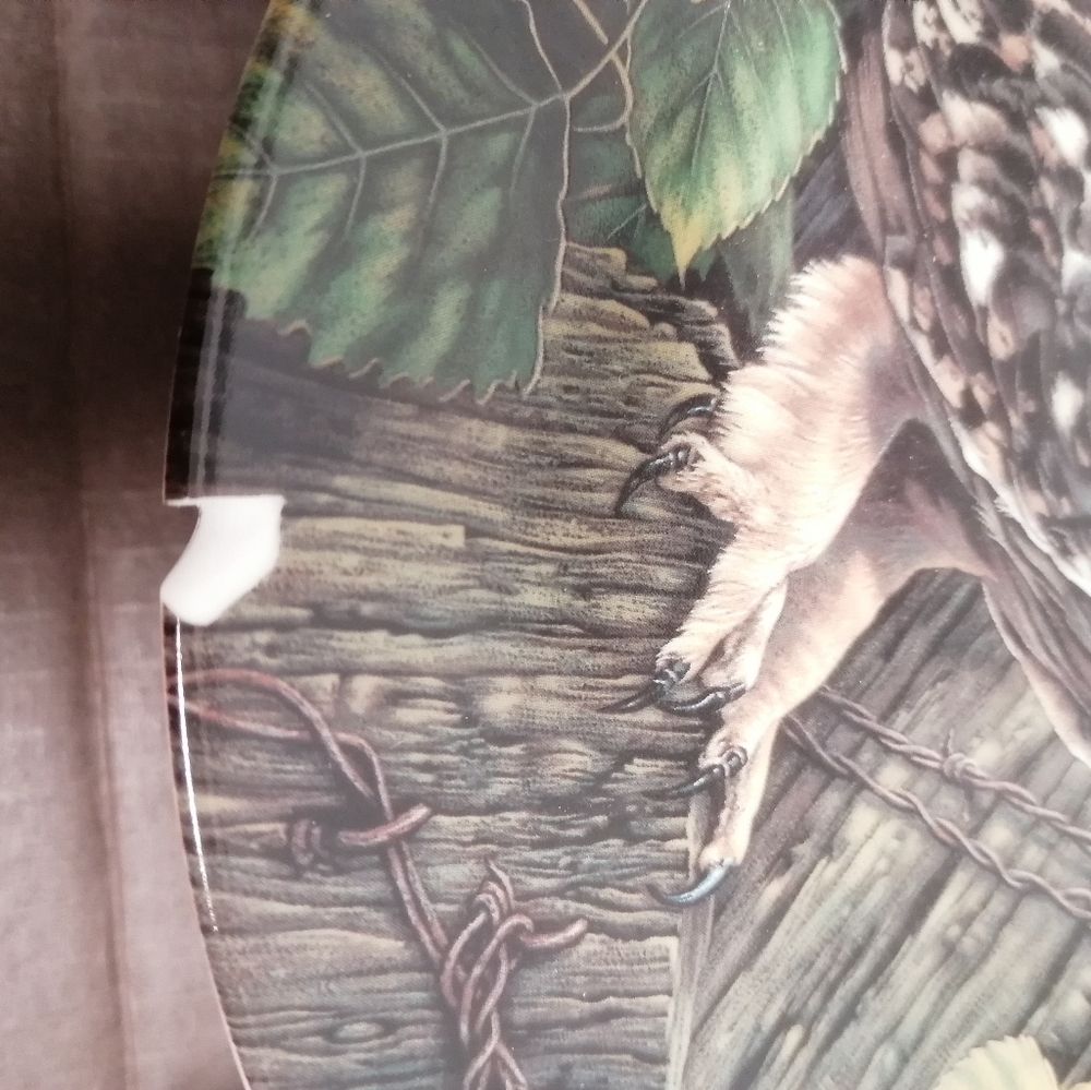 The Short-Eared Owl Collection Plate. - Picture 4 of 5